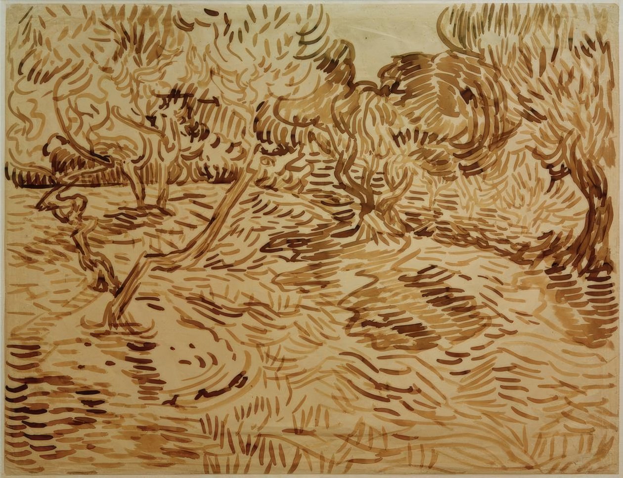 Olivenhain tekijältä Vincent van Gogh