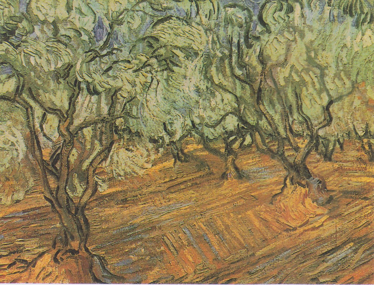 Oliivilehto, sininen taivas tekijältä Vincent van Gogh