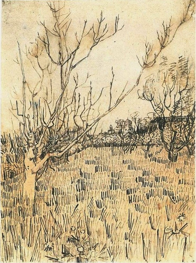 Hedelmätarha Arlesin taustalla tekijältä Vincent van Gogh