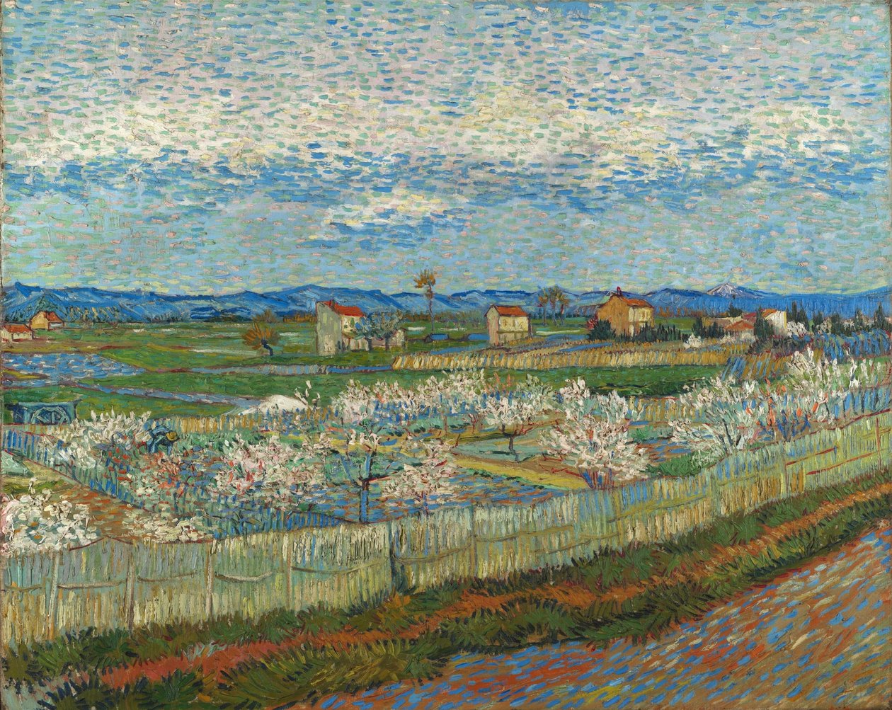 Persikkapuita kukassa tekijältä Vincent van Gogh
