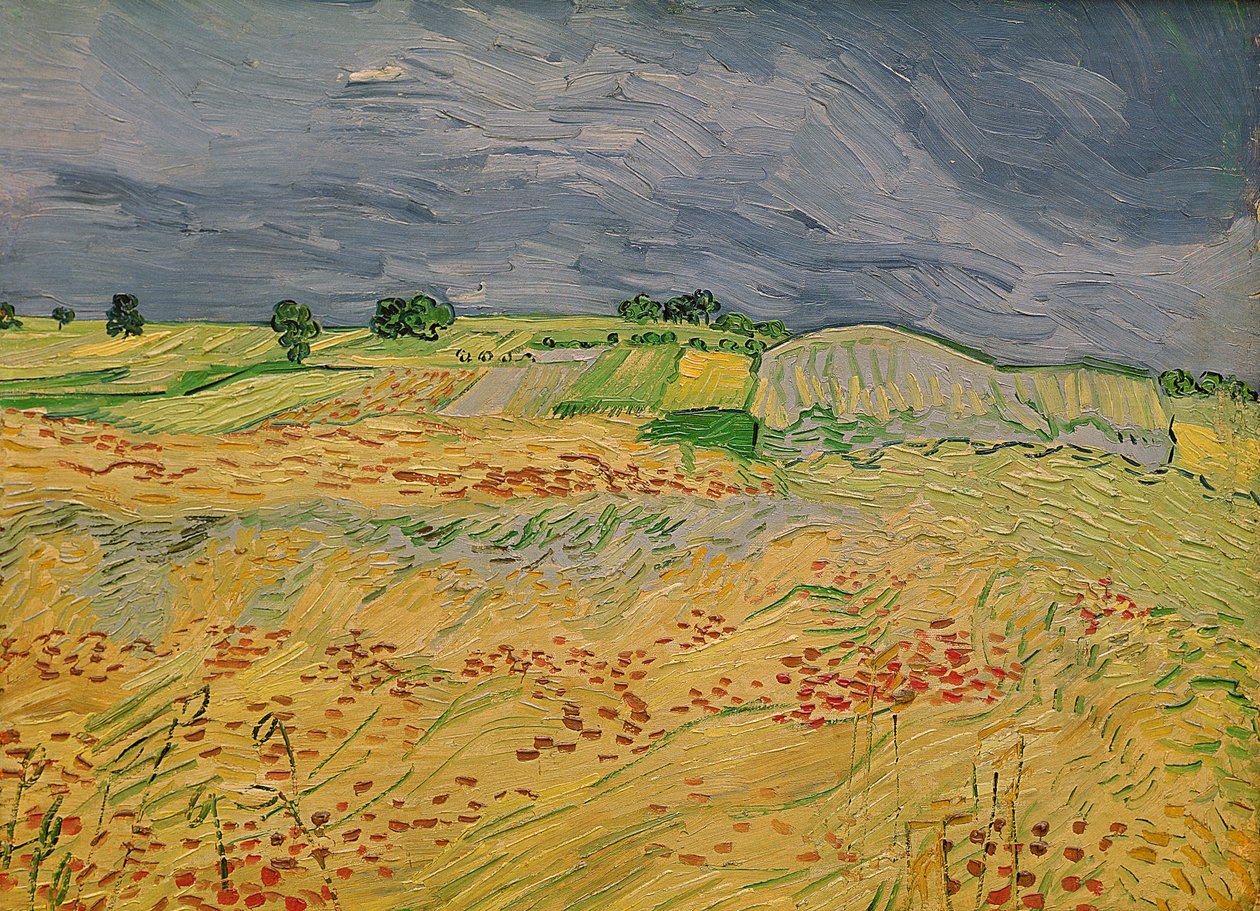 Plain at Auvers, 1890 tekijältä Vincent van Gogh