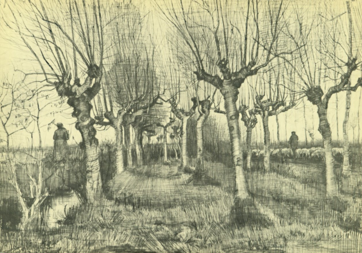 Pollardikoivut tekijältä Vincent van Gogh