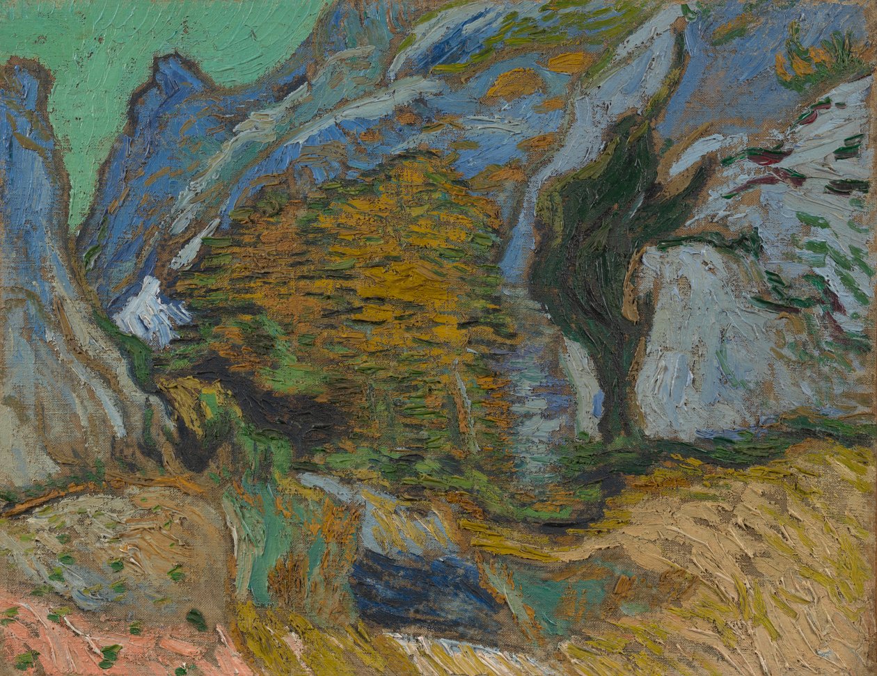 Ravine pienellä purolla tekijältä Vincent van Gogh