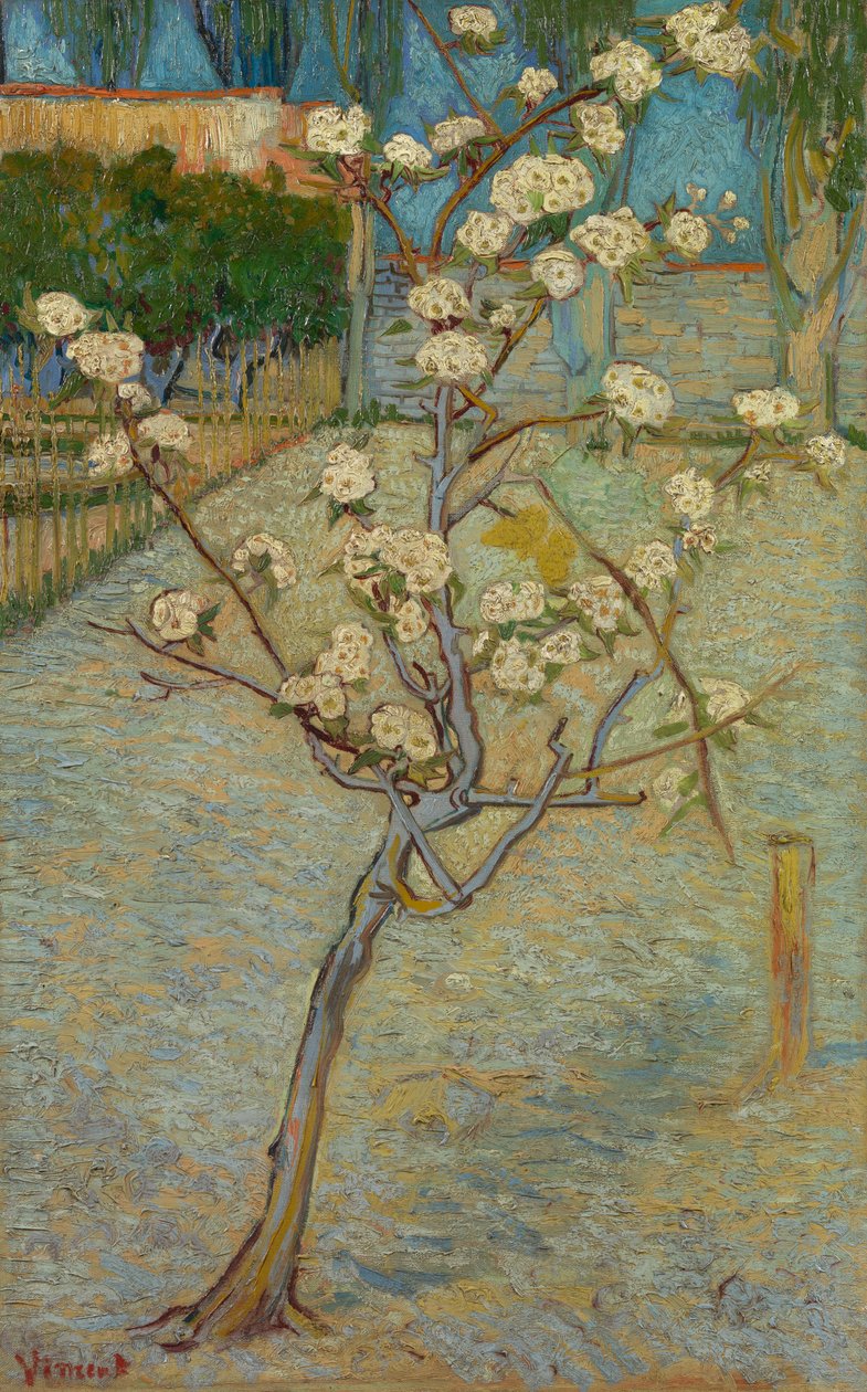 Pieni päärynäpuu kukassa tekijältä Vincent van Gogh