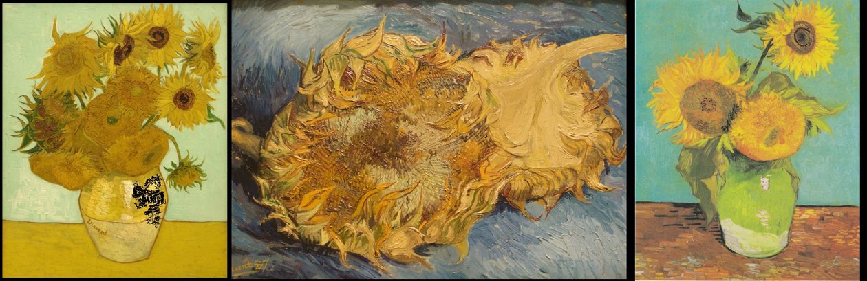 Stilleben mit 12 Sonnenblumen tekijältä Vincent van Gogh