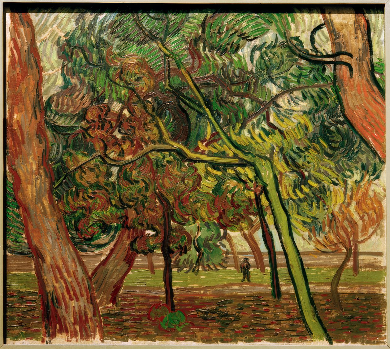 Studie mit Fichten im Herbst tekijältä Vincent van Gogh