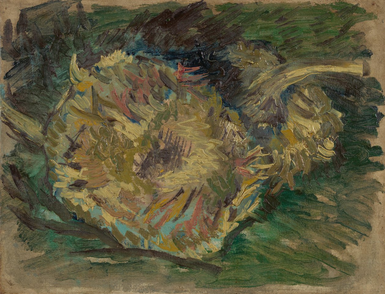 Auringonkukat menneet siemeniin tekijältä Vincent van Gogh