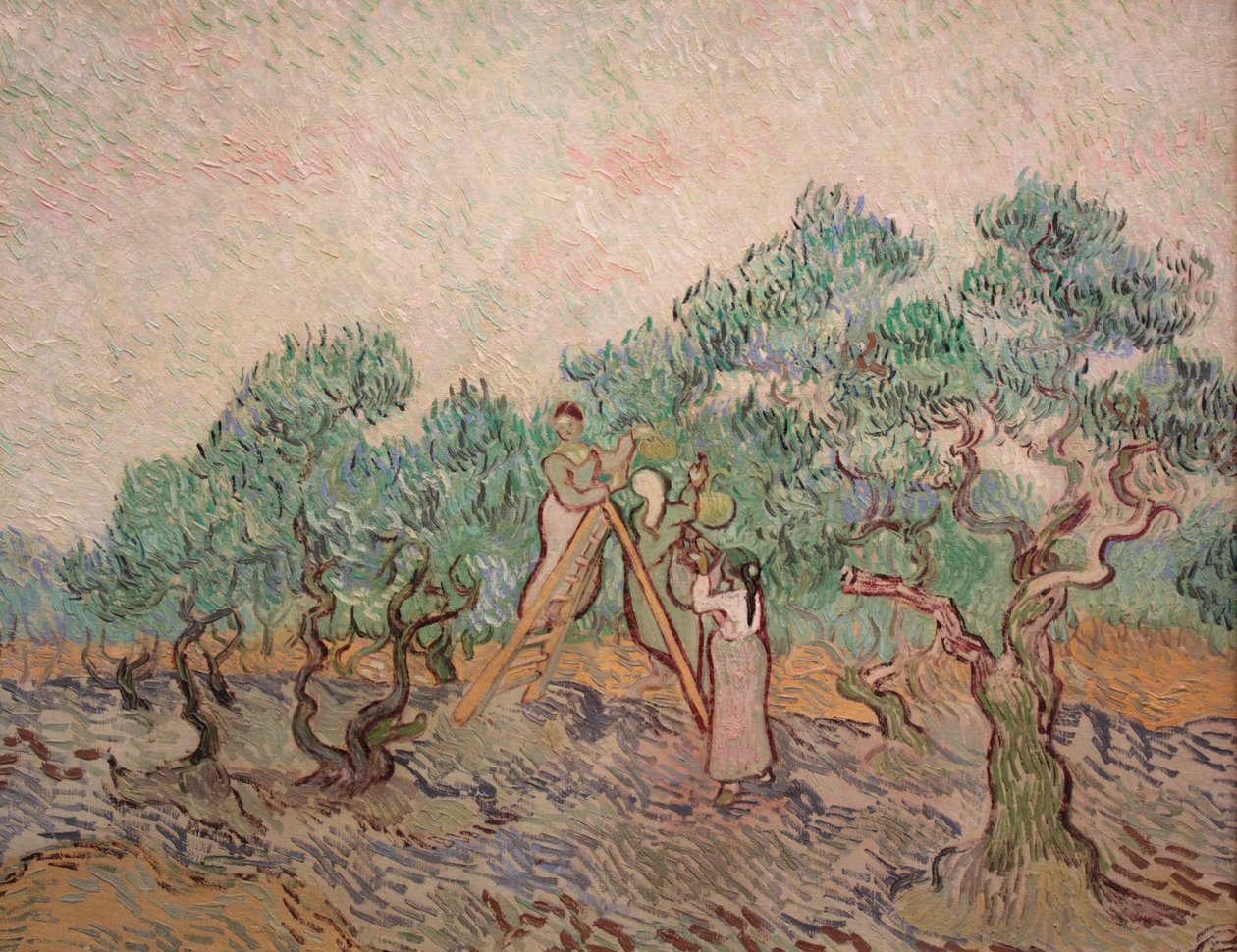 Oliivipuutarha tekijältä Vincent van Gogh
