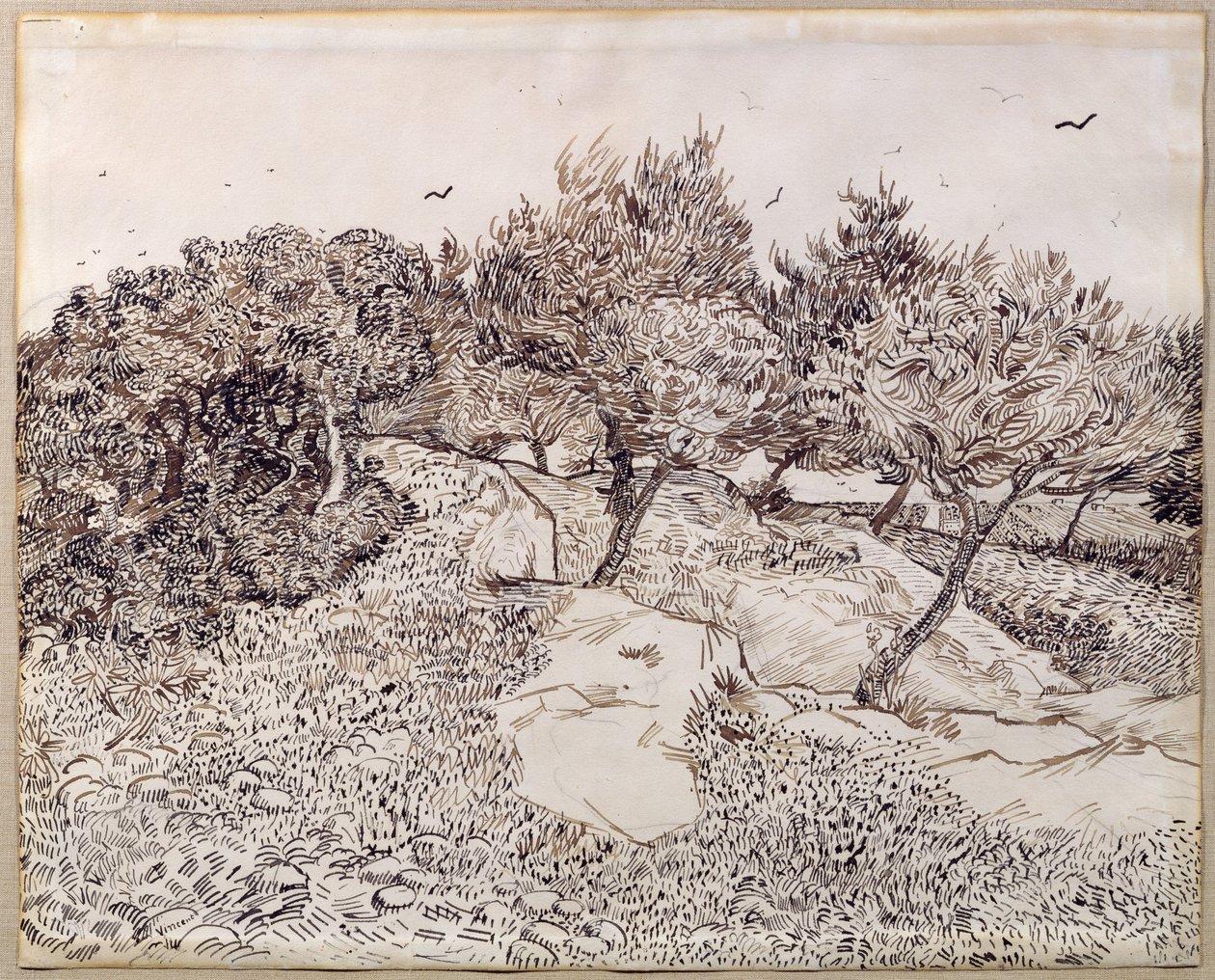 Oliivipuut tekijältä Vincent van Gogh