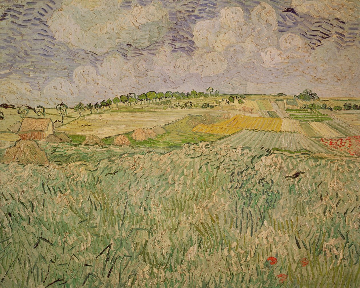 Auversin tasangolla 1890 tekijältä Vincent van Gogh