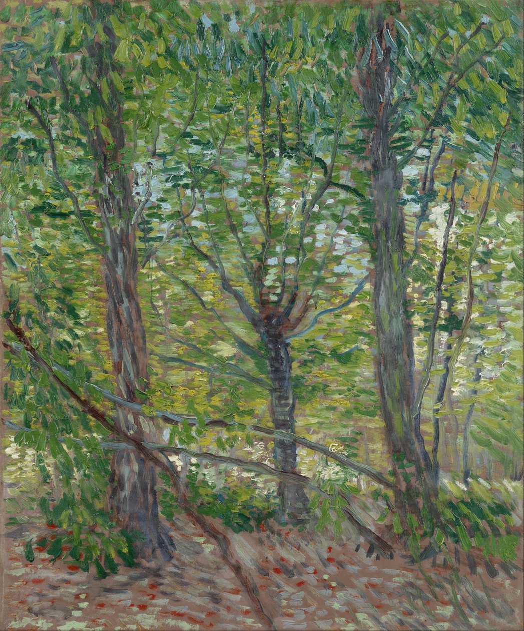 Puut tekijältä Vincent van Gogh