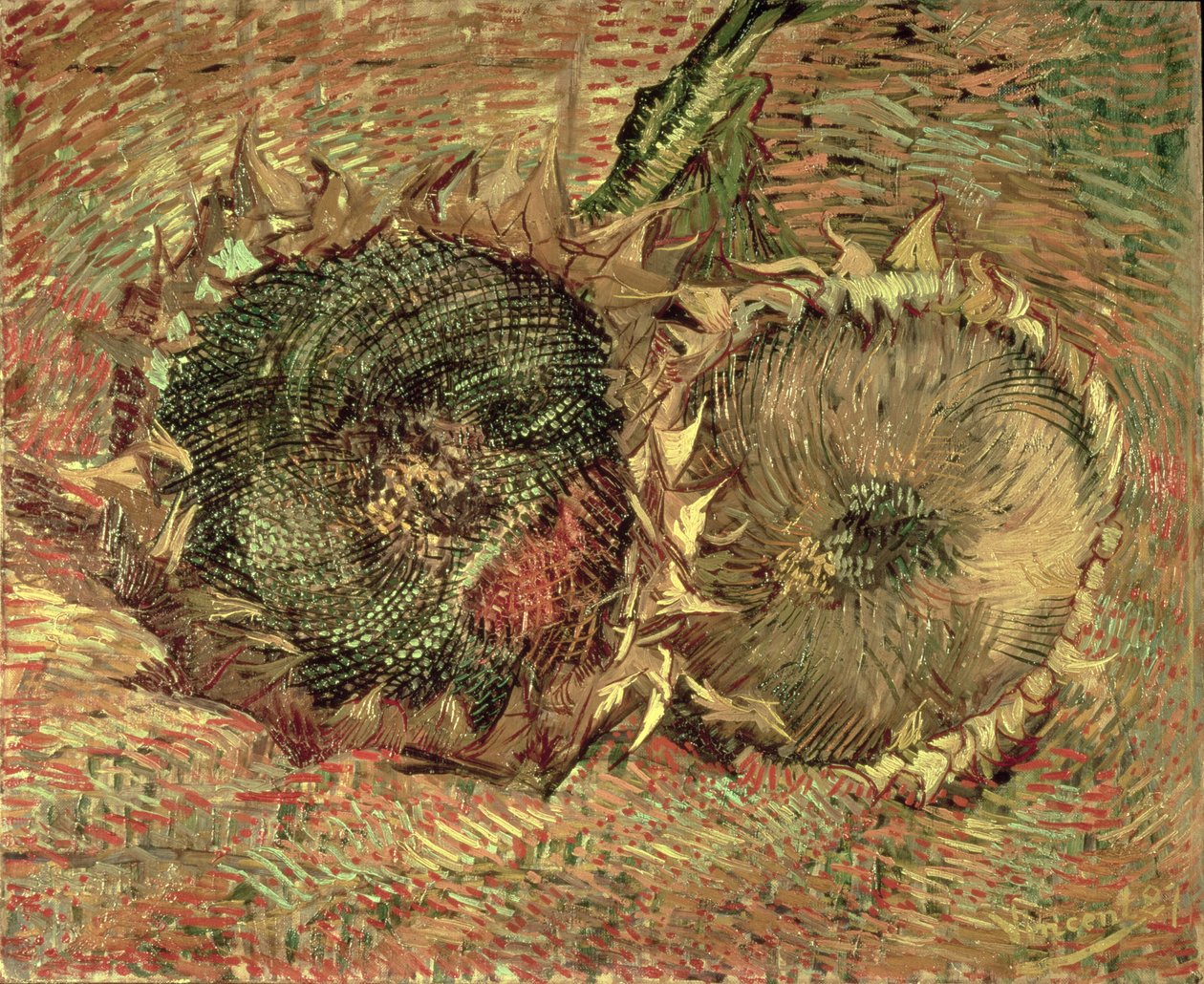 Kaksi leikattua auringonkukkaa, 1887 tekijältä Vincent van Gogh
