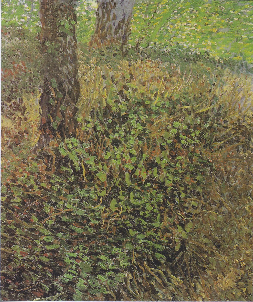 Aluskasvillisuus tekijältä Vincent van Gogh
