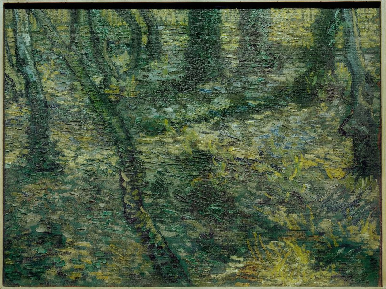 Unterholz mit Efeu tekijältä Vincent van Gogh