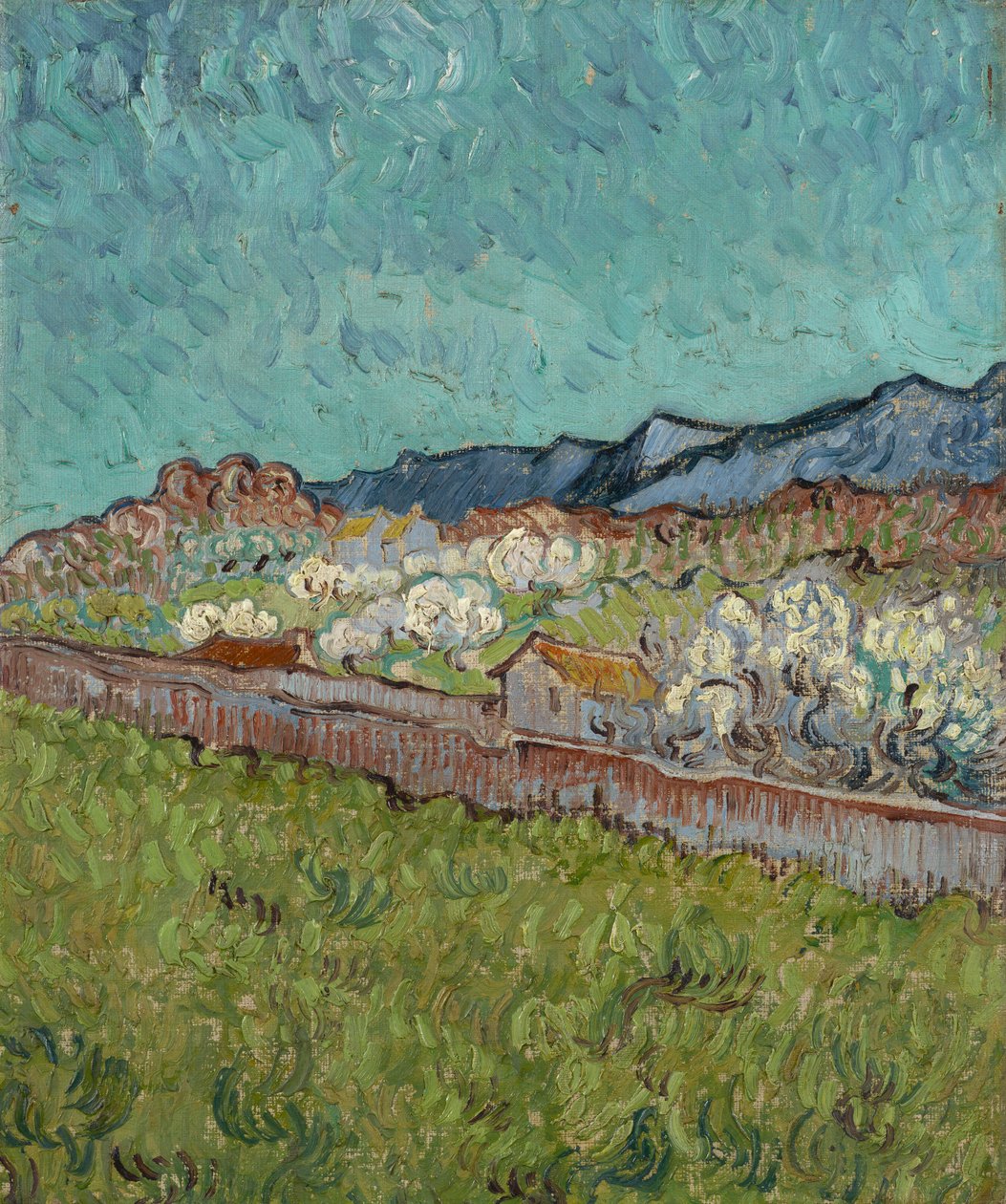 Näkymä Alpilles tekijältä Vincent van Gogh