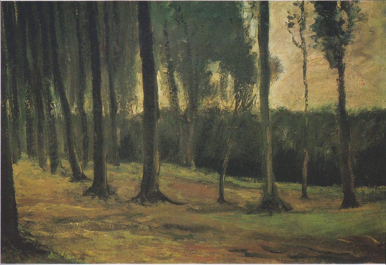 Metsän reuna tekijältä Vincent van Gogh
