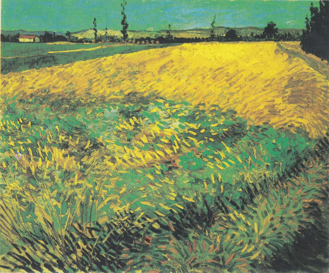 Vehnäpellolla taustalla Alpilles -kukkulat tekijältä Vincent van Gogh