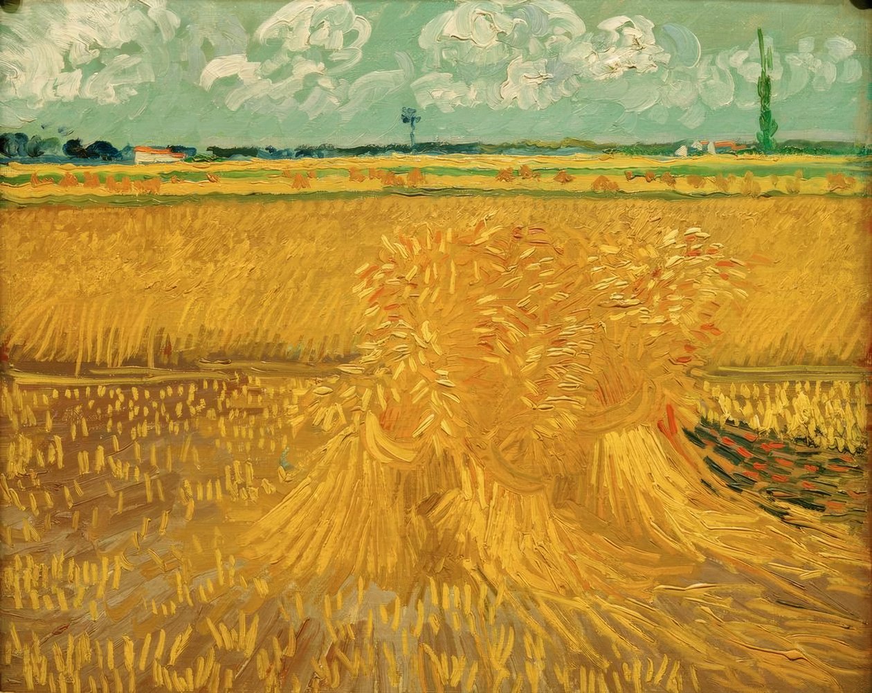 Weizenfeld mit Kornbündel tekijältä Vincent van Gogh