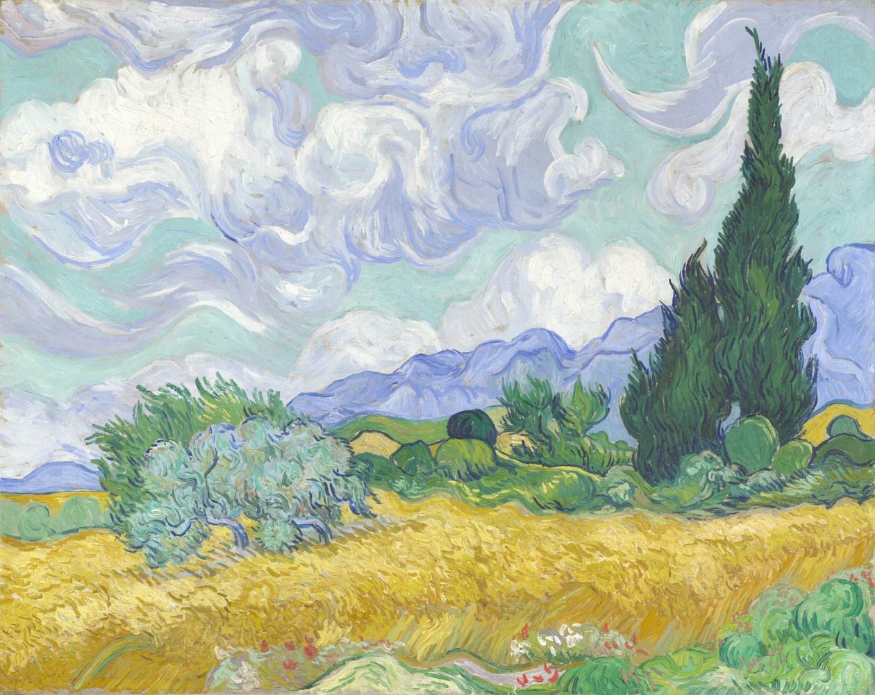 Vehnäpellolla sypressit tekijältä Vincent van Gogh