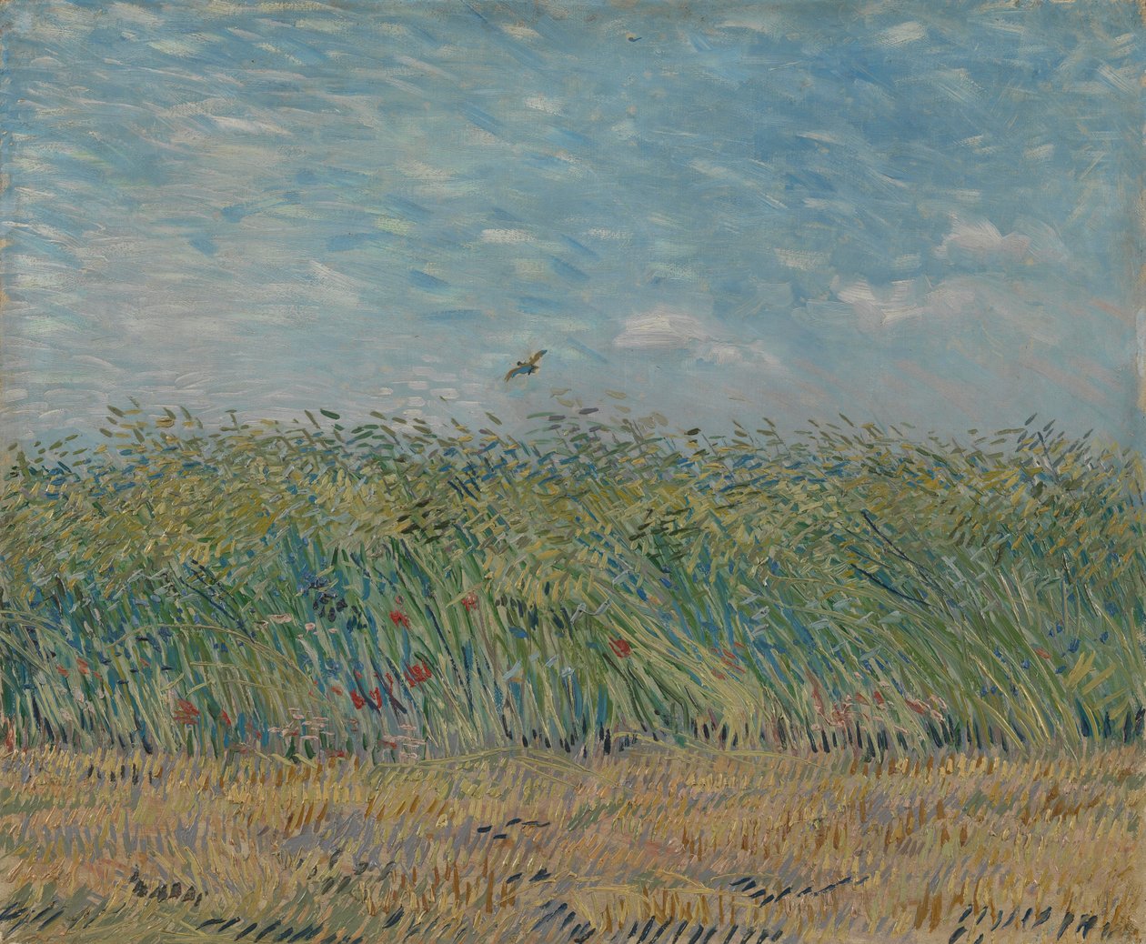Vehnäkenttä Partridgen kanssa, 1887 tekijältä Vincent van Gogh