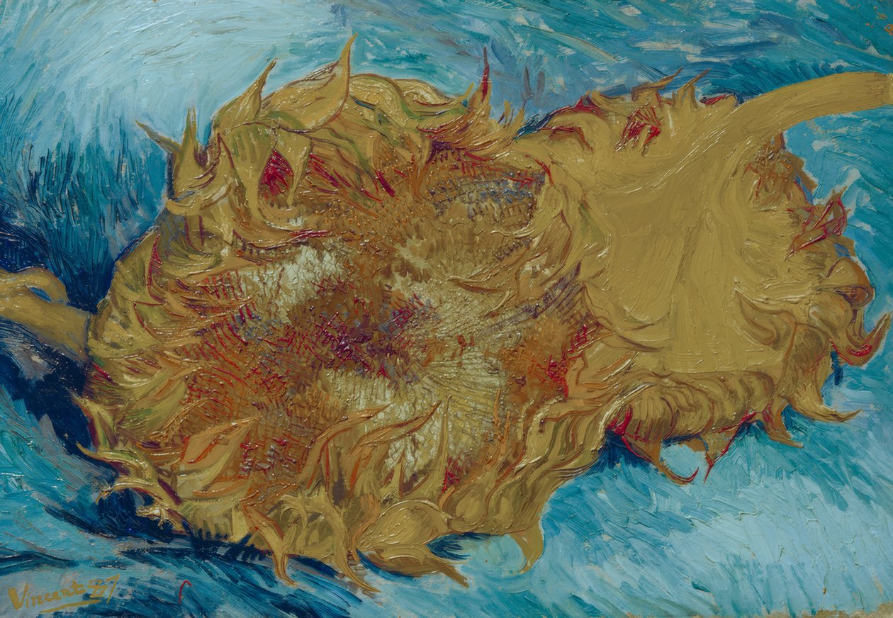 Zwei abgeschnittene Sonnenblumen tekijältä Vincent van Gogh