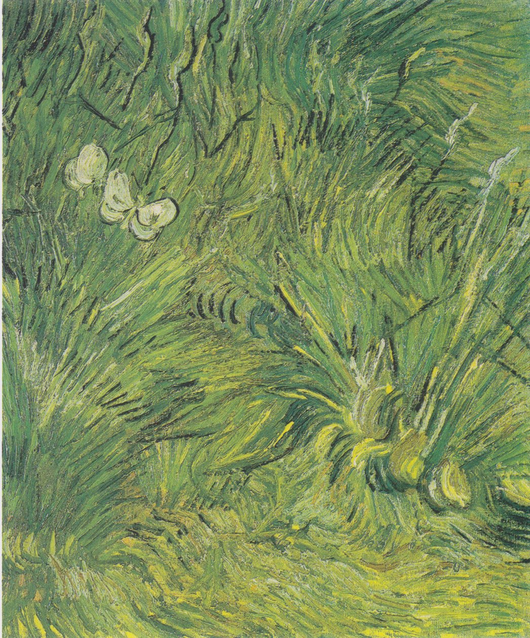 Kaksi valkoista perhosta tekijältä Vincent van Gogh