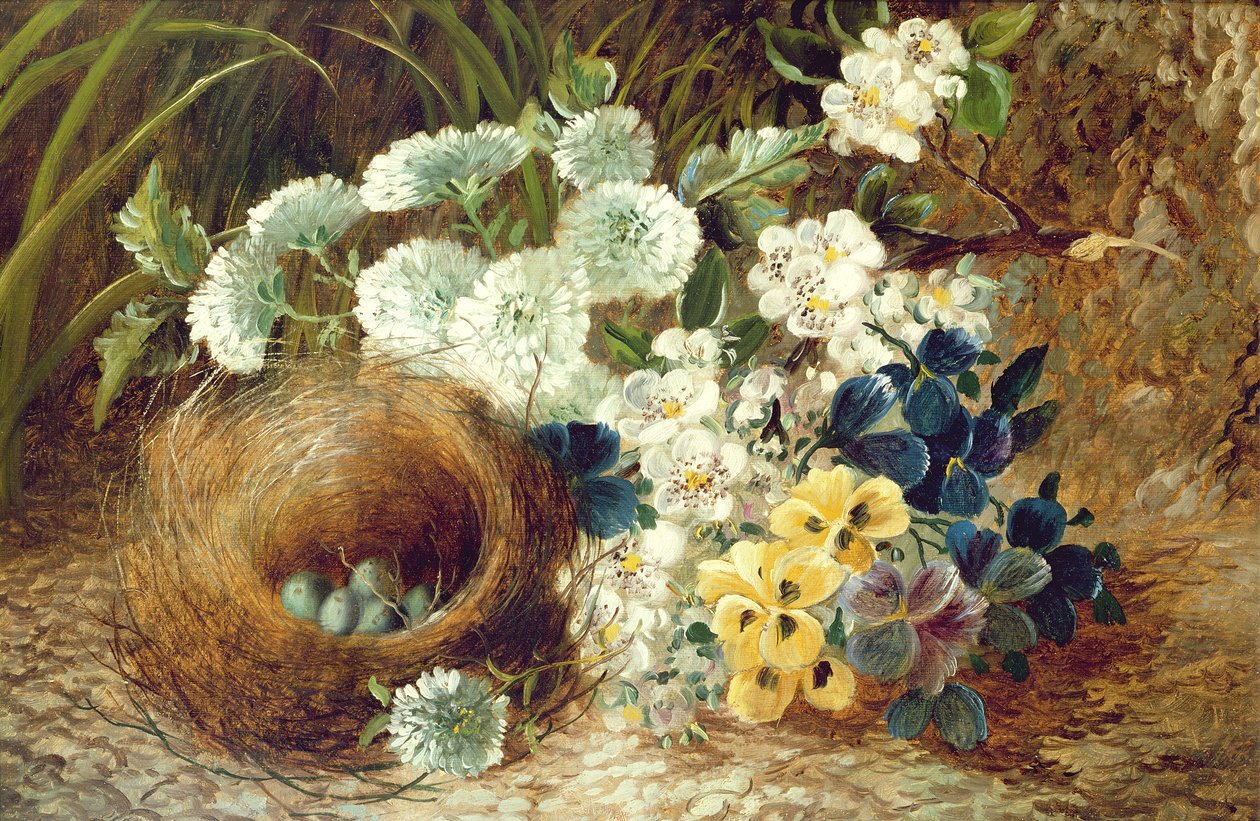 Kukkien asetelma ja linnunpesä sammaleella tekijältä Vincent (after) Clare