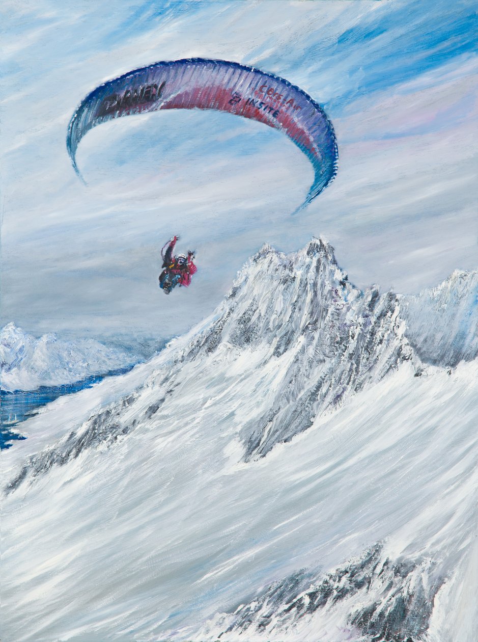 Etelämanner Flier, 2015, tekijältä Vincent Alexander Booth