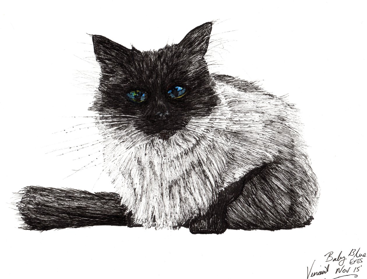 Vauvan siniset silmät, 2015, (muste paperille) tekijältä Vincent Alexander Booth