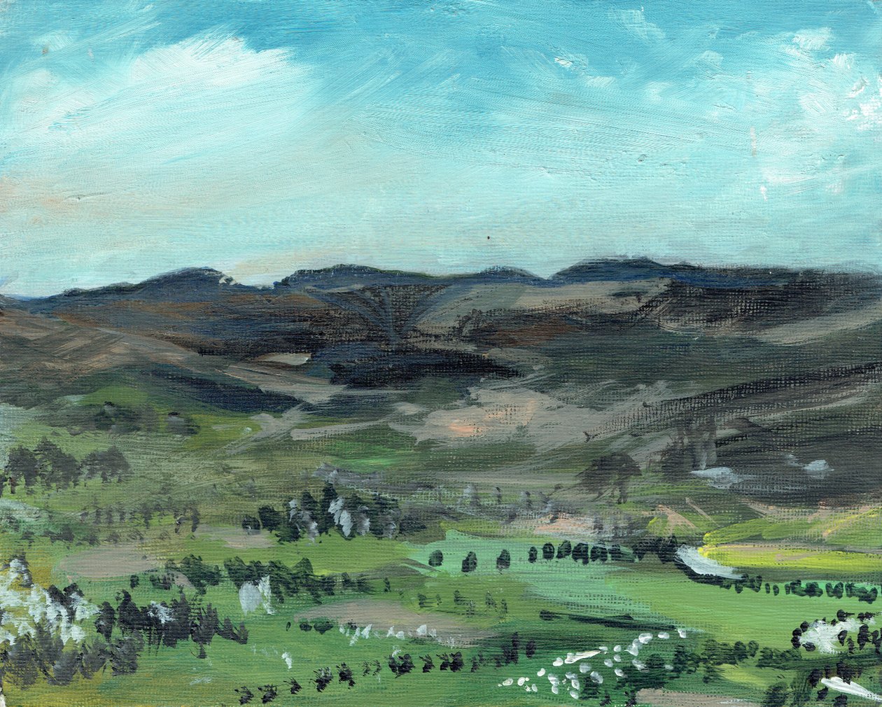 Cairngorms, Creag Dhubh, 2006, (akryyli kankaalle) tekijältä Vincent Alexander Booth