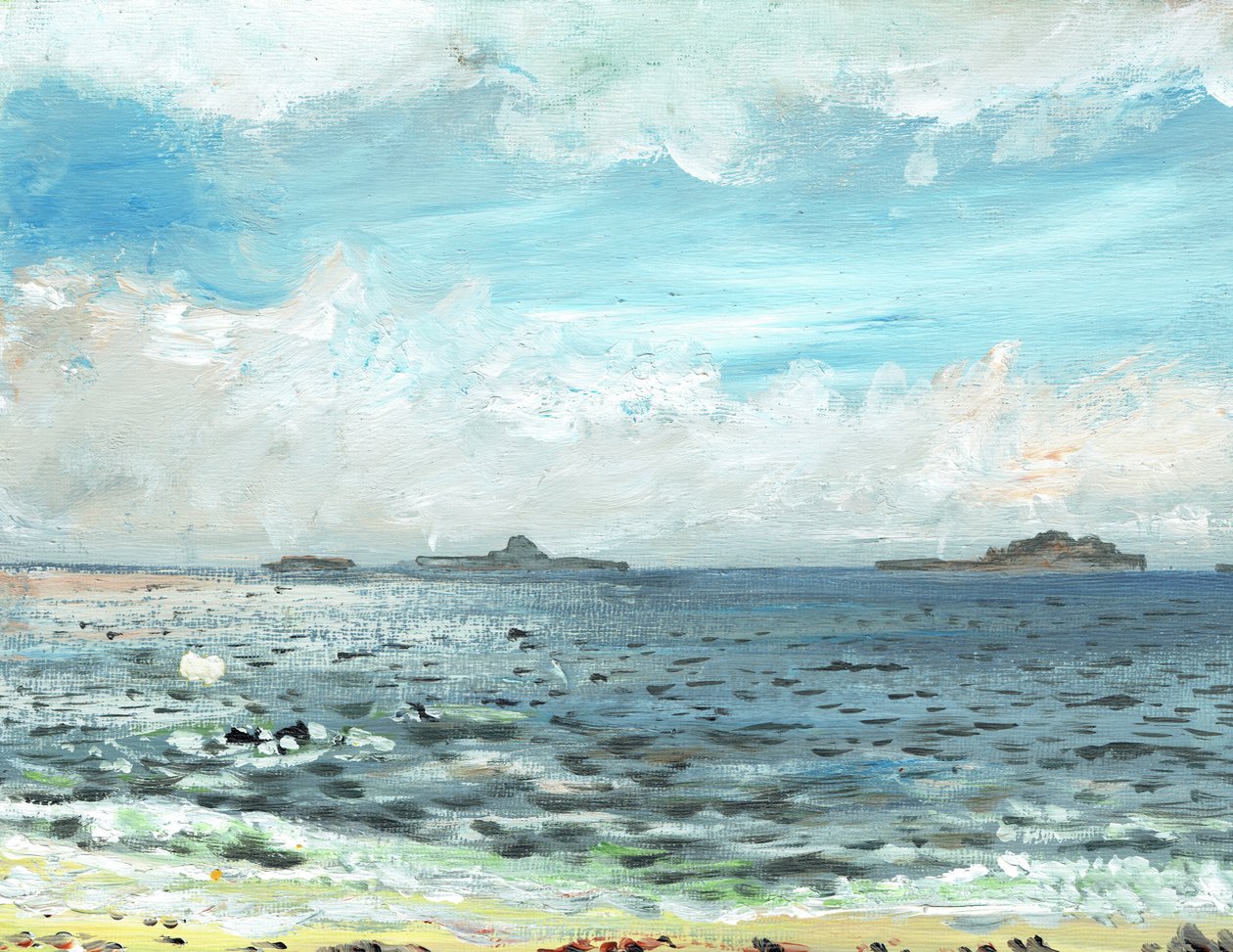 Iona Beach, 2007, (akryyli kankaalle) tekijältä Vincent Alexander Booth