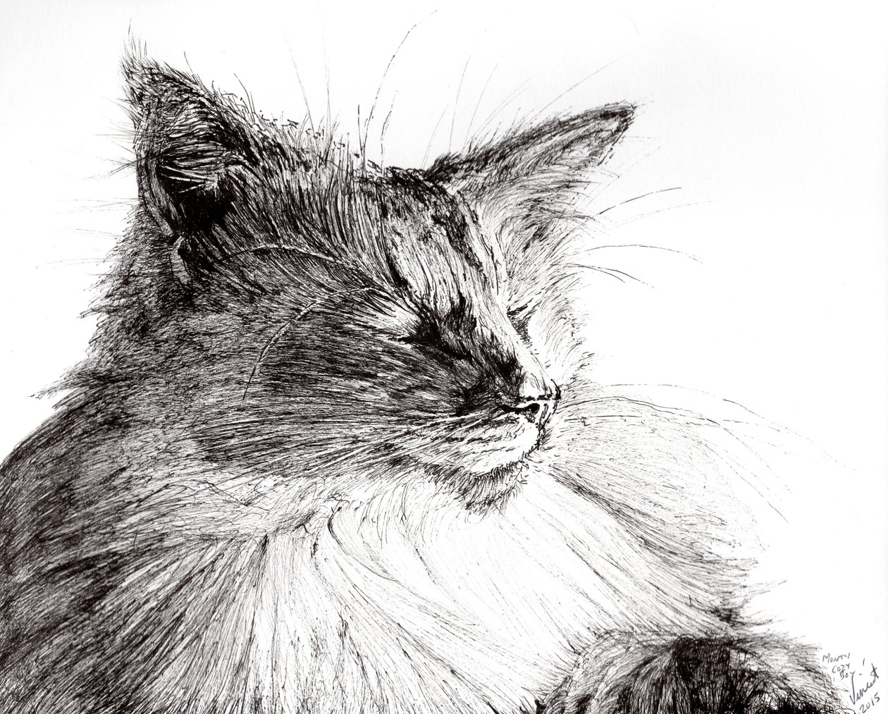 Monty cosy boy, 2015, (muste paperille) tekijältä Vincent Alexander Booth