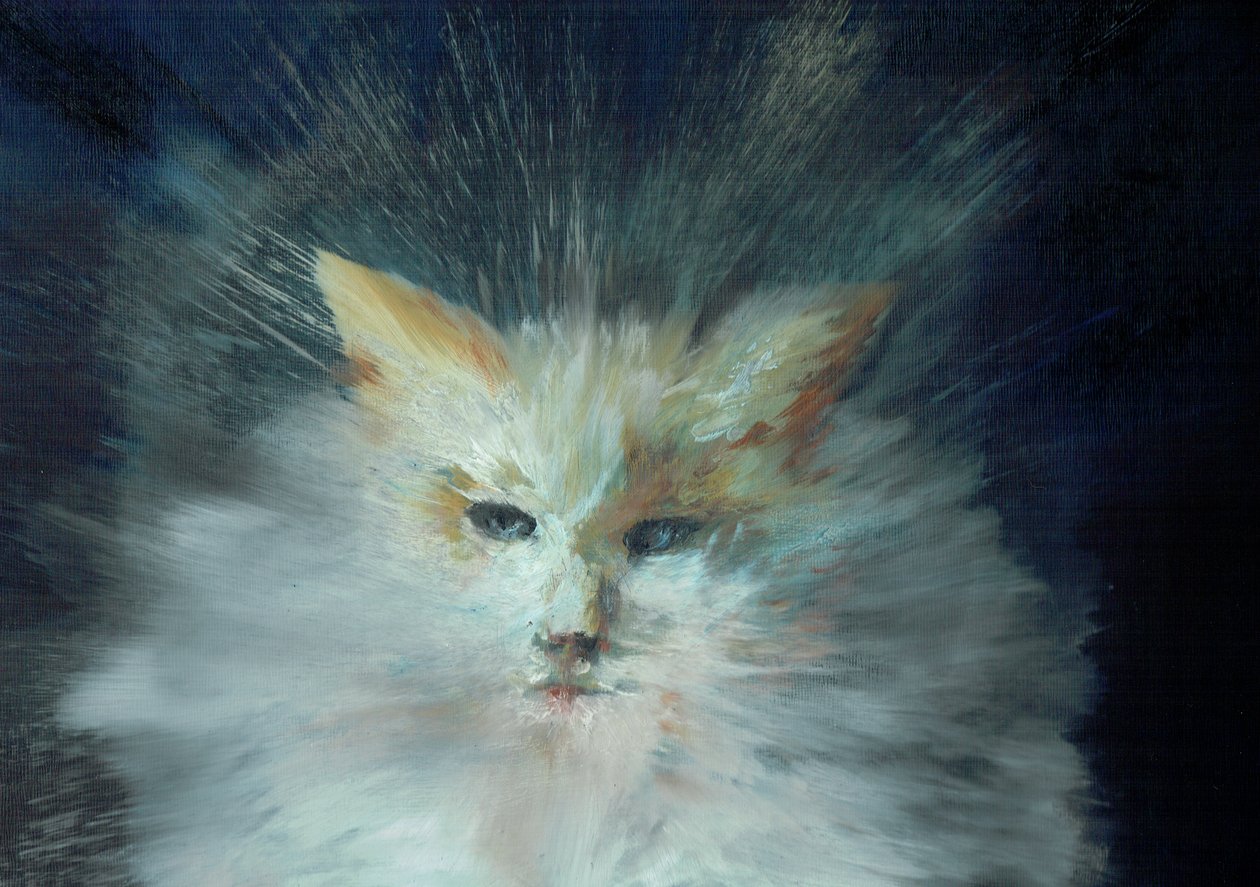 Monty fluffball, 2015, (öljy kankaalle) tekijältä Vincent Alexander Booth