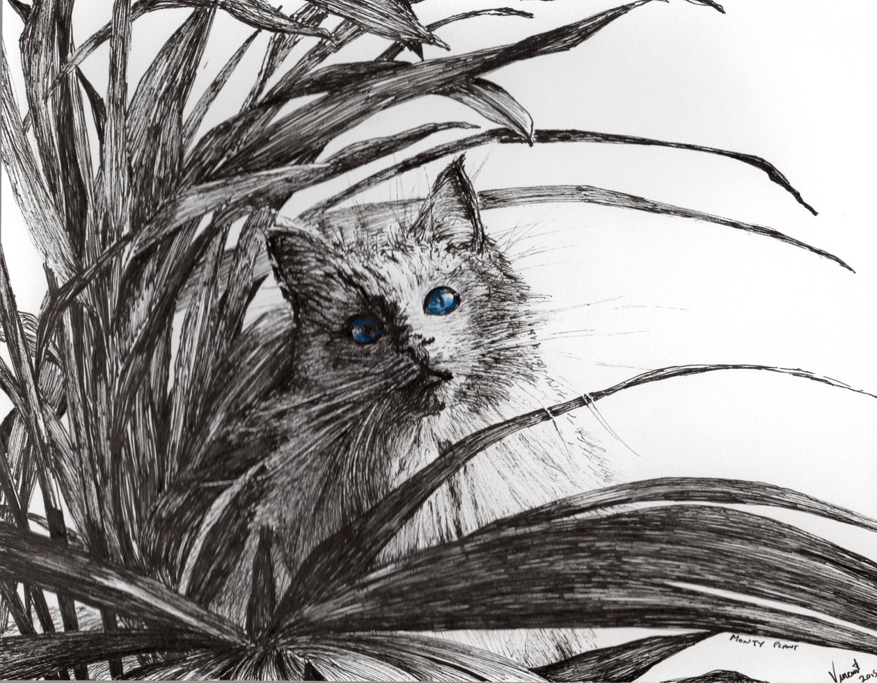 Monty plant, 2015, (muste paperille) tekijältä Vincent Alexander Booth