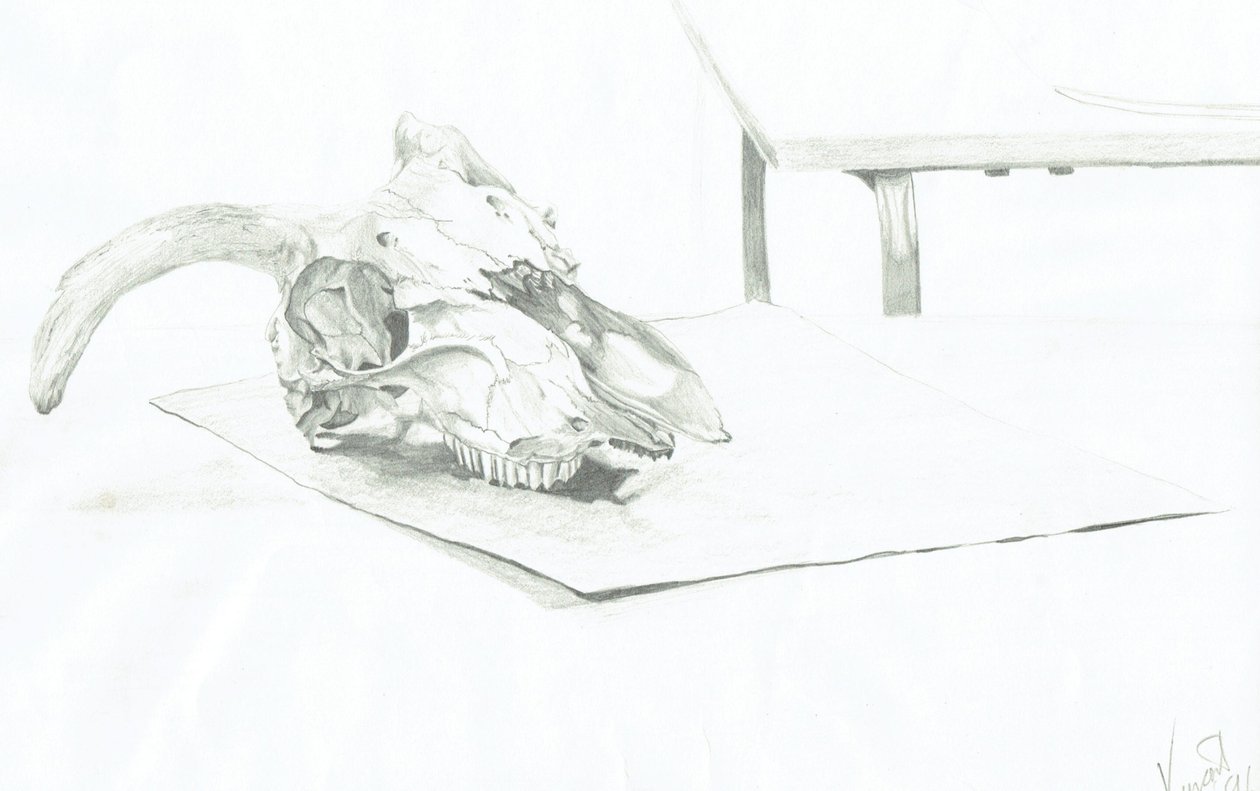 Kallo tekijältä Vincent Alexander Booth