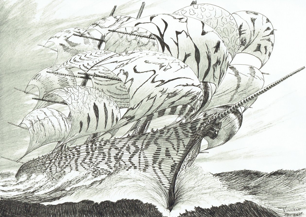 Storm Creators Lake Kariba, 2022 tekijältä Vincent Alexander Booth