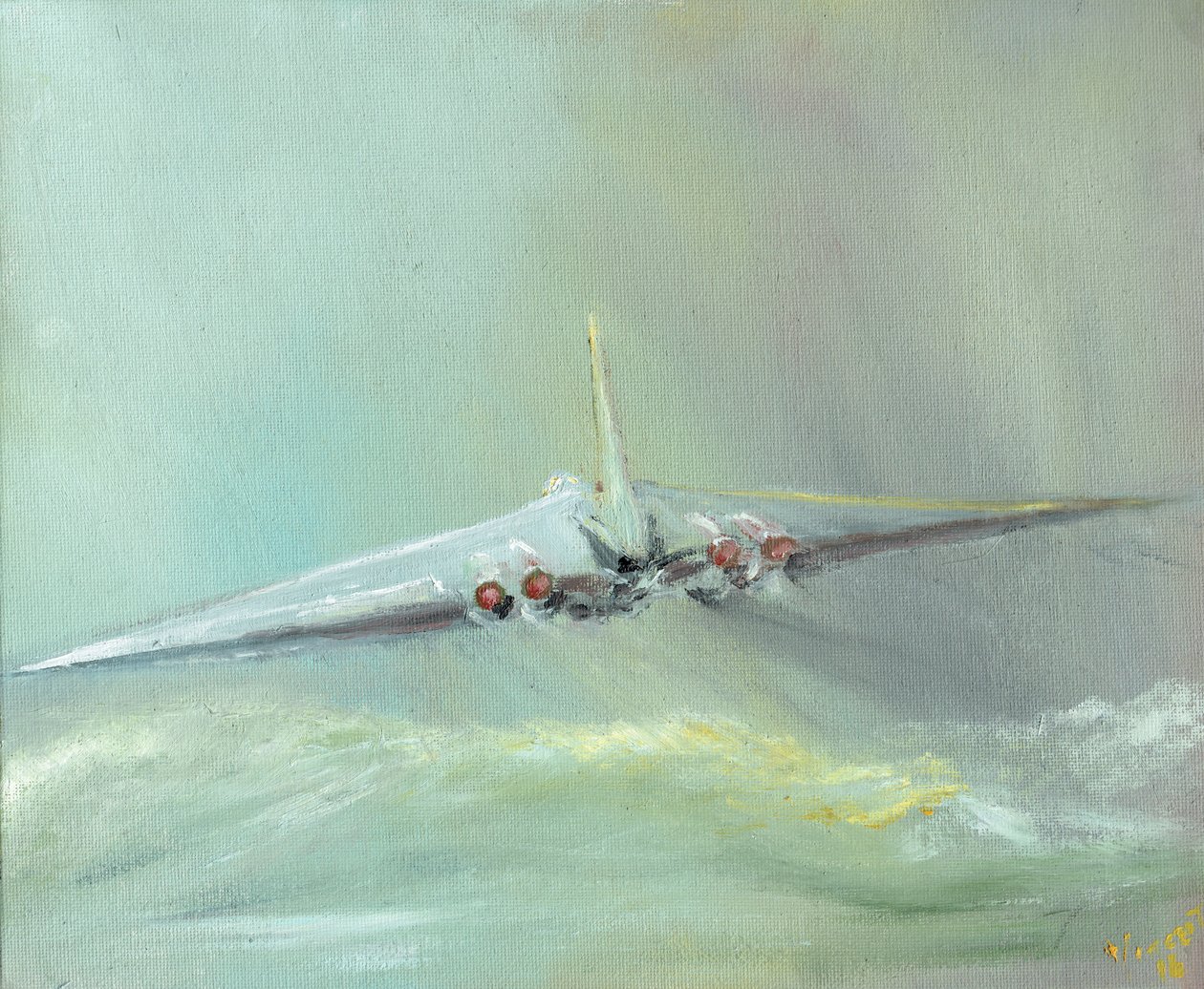 Vulcan B1 sortie, 2016, (öljy kankaalle) tekijältä Vincent Alexander Booth