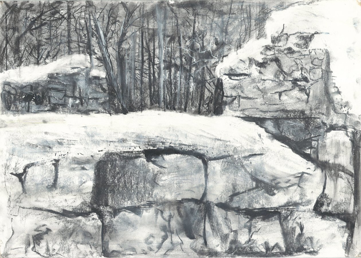 Wall in the Woods Osmotherley tekijältä Vincent Alexander Booth
