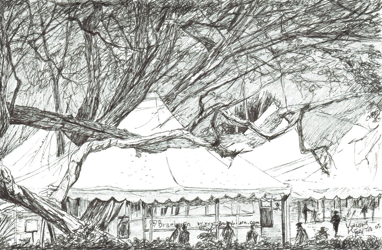 Hääteltat Nawesha-järvellä Kenia, 2003 tekijältä Vincent Alexander Booth