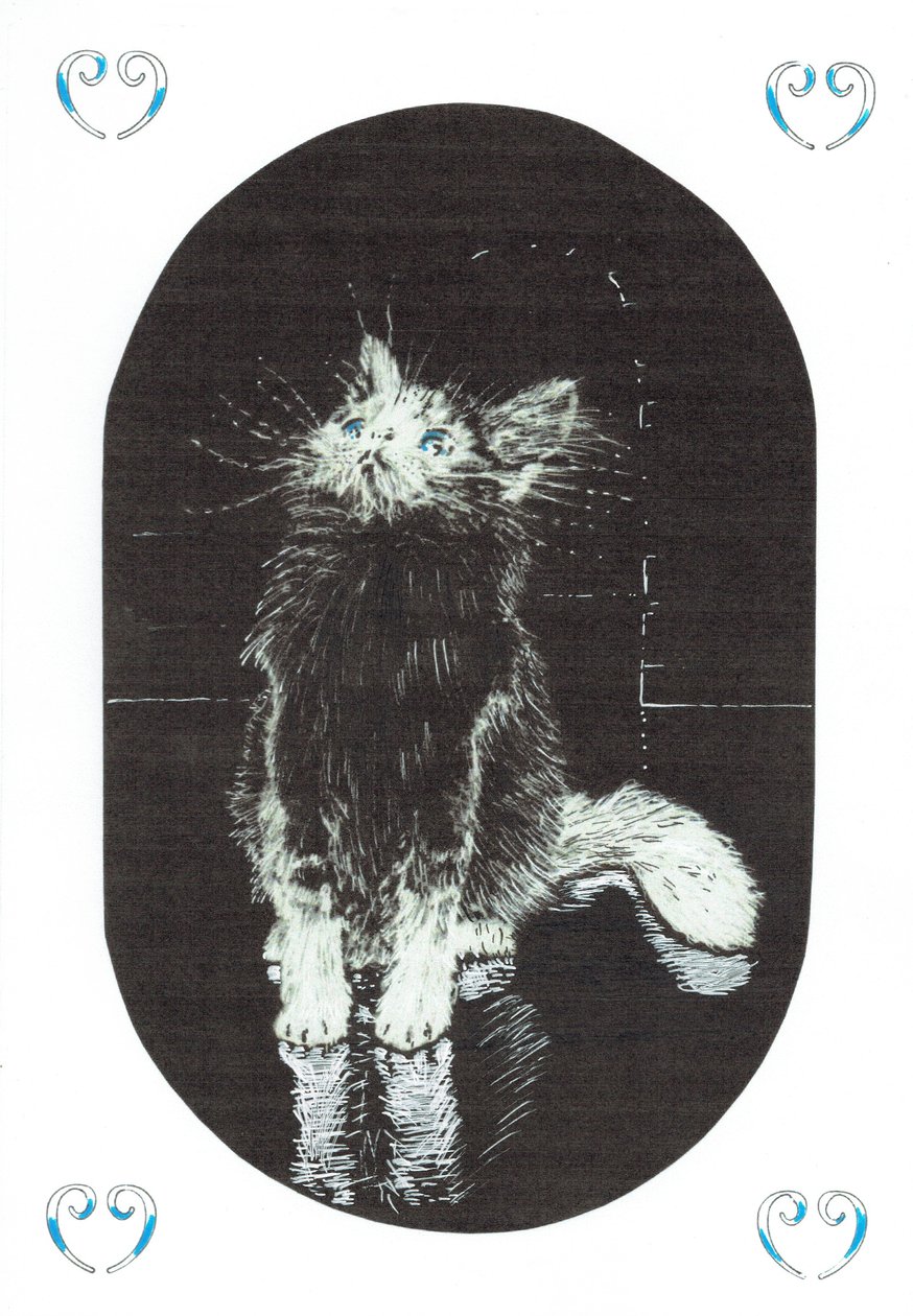 sivu1, Linna Findhornin metsässä, 2006, (muste paperille) tekijältä Vincent Alexander Booth