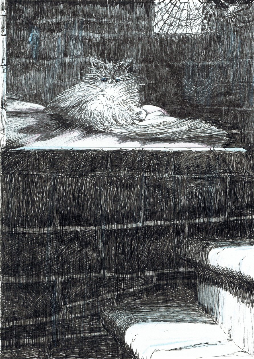sivu 21, Linna Findhornin metsässä, 2006, (muste paperille) tekijältä Vincent Alexander Booth