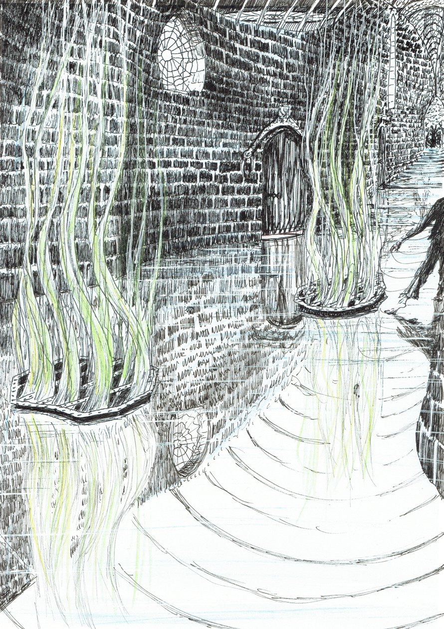 sivu 29, Linna Findhornin metsässä, 2006, (muste paperille) tekijältä Vincent Alexander Booth
