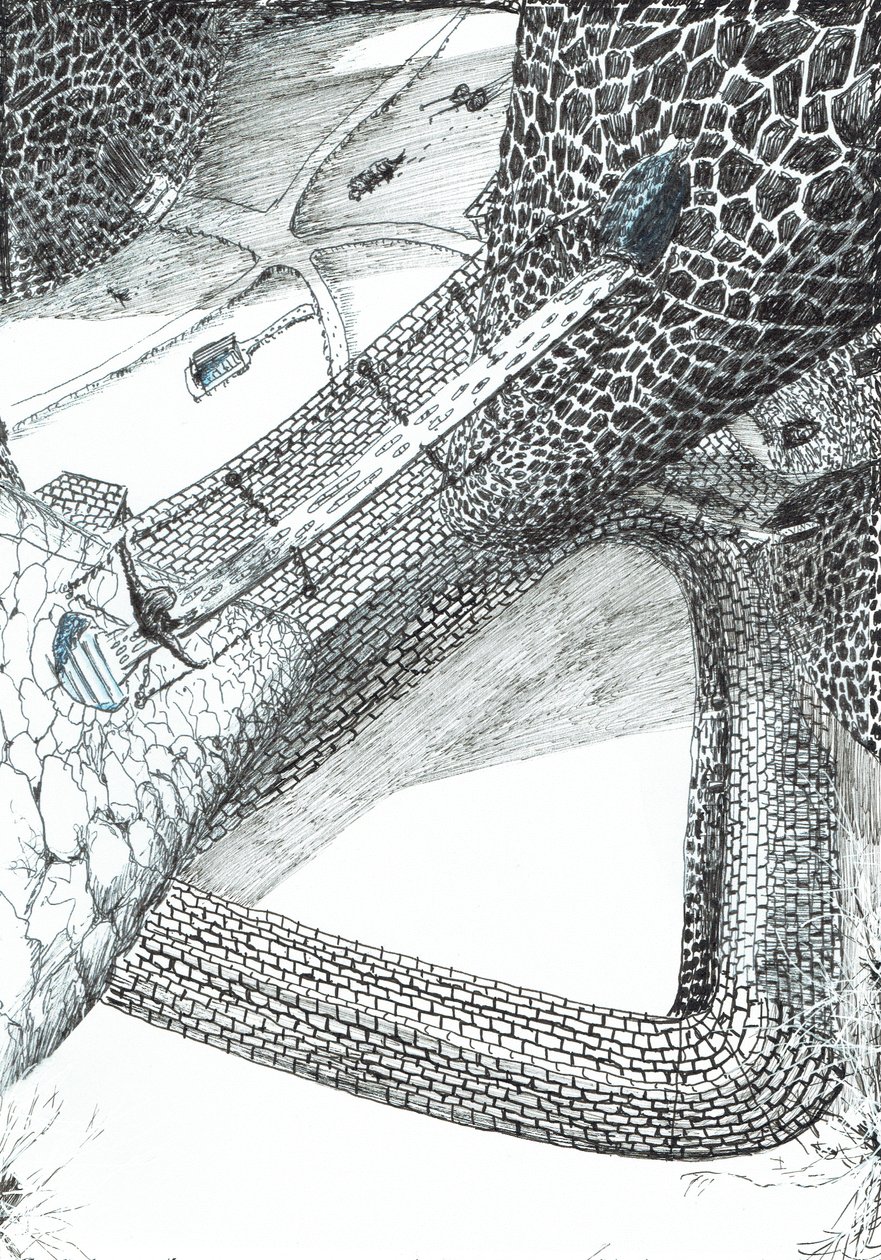 sivu 31, Linna Findhornin metsässä, 2006, (muste paperille) tekijältä Vincent Alexander Booth