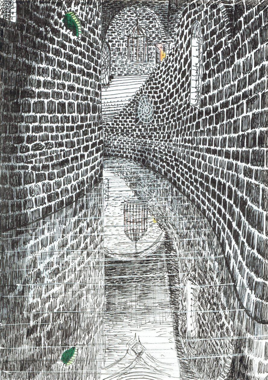 sivu35,The Castle in the Forest of Findhorn, 2006, (tussi paperille) tekijältä Vincent Alexander Booth