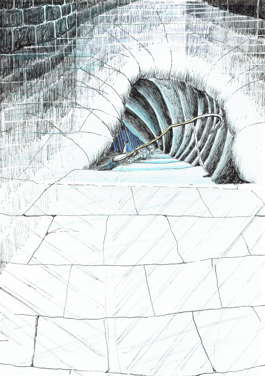 sivu 45, Linna Findhornin metsässä, 2006, (muste paperille) tekijältä Vincent Alexander Booth