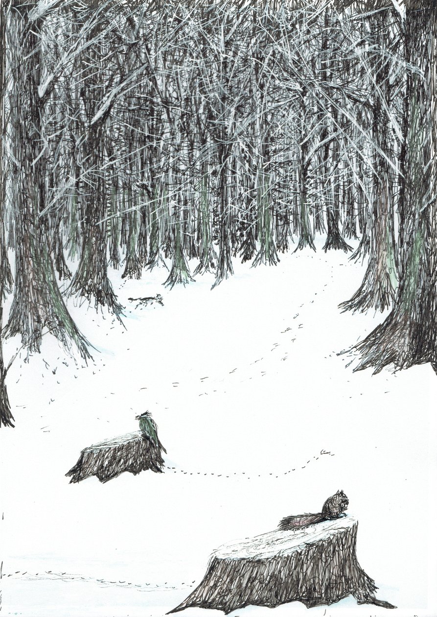 sivu 5, Linna Findhornin metsässä, 2006, (muste paperille) tekijältä Vincent Alexander Booth