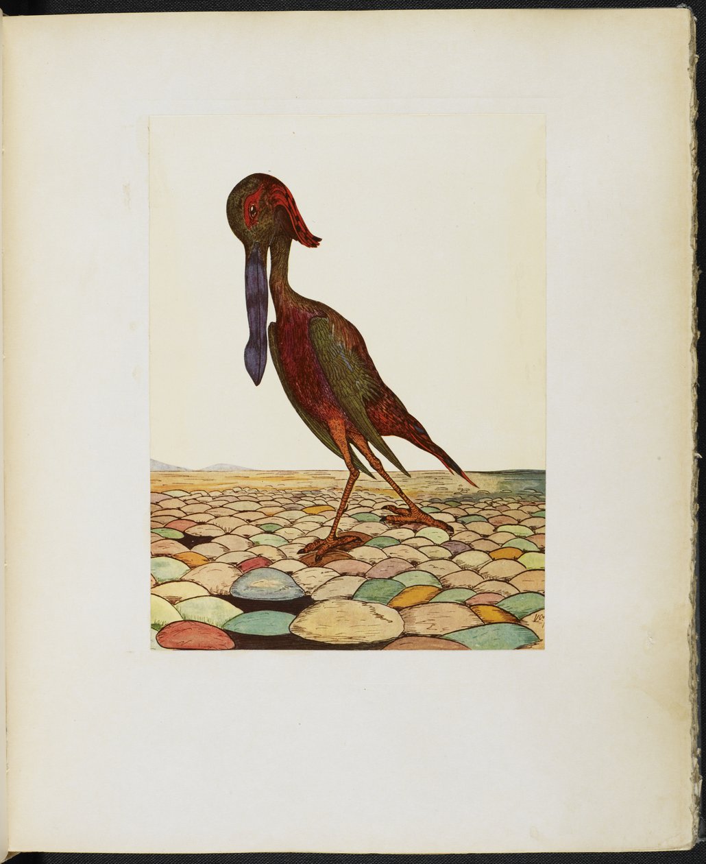 The Blue-Billed Ork, Vincent Cartwright Vickersin teoksesta The Google Book tekijältä Vincent Cartwright Vickers