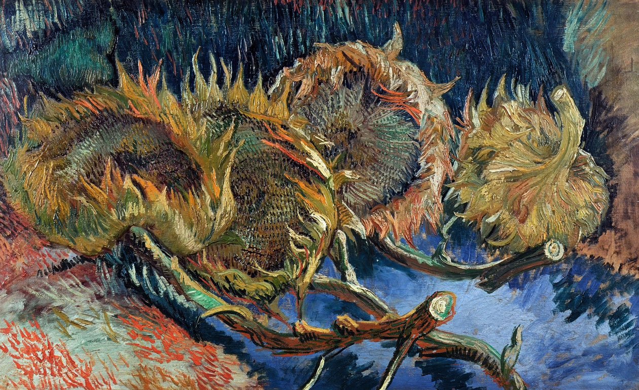 Neljä leikattua auringonkukkaa, 1887. tekijältä Vincent van Gogh