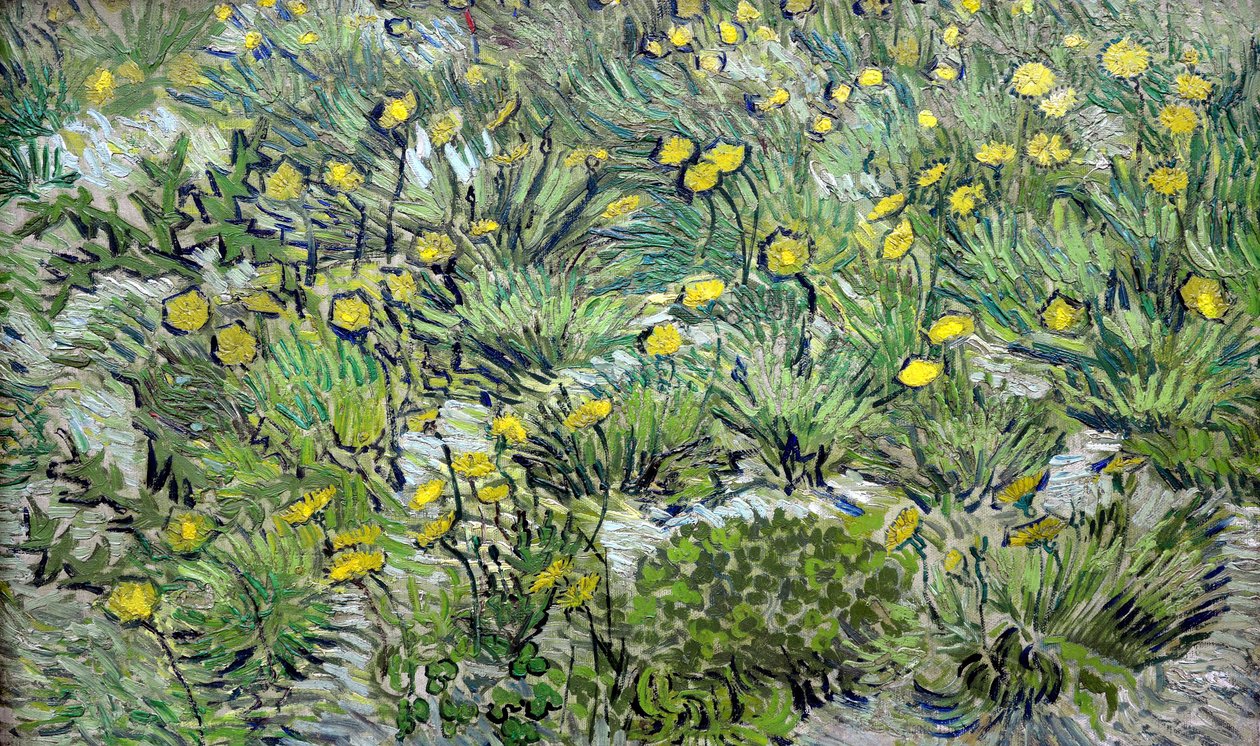 Voikukkien voikukka, 1889. tekijältä Vincent van Gogh