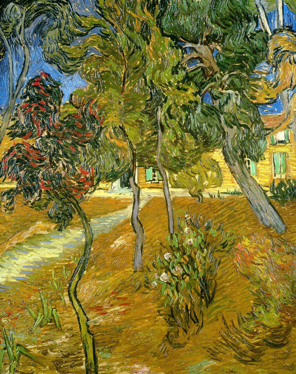 Puut turvapaikan puutarhassa, 1889. tekijältä Vincent van Gogh